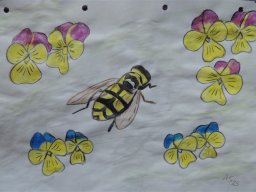 Drawn Pictures